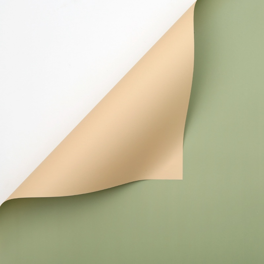 Papel Coreano Bicolor