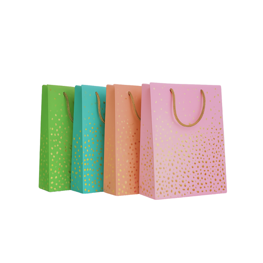 Bolsas de Regalo Grandes x12