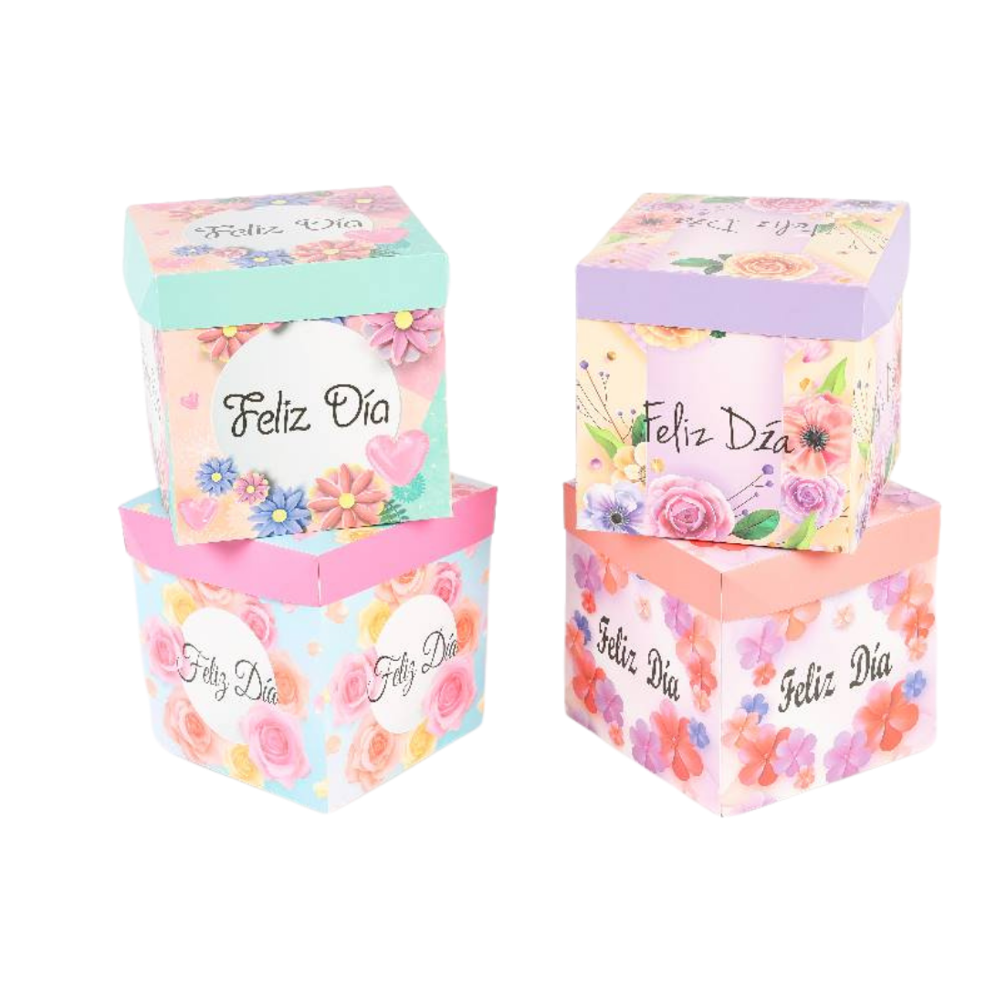 Cajas de Regalo Felíz Día x6