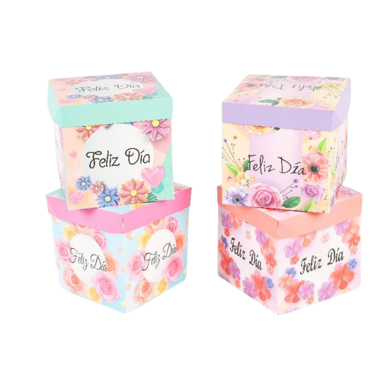 Cajas de Regalo Felíz Día x6