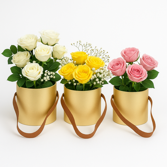 Set x3 Cajas cilíndricas Satinadas