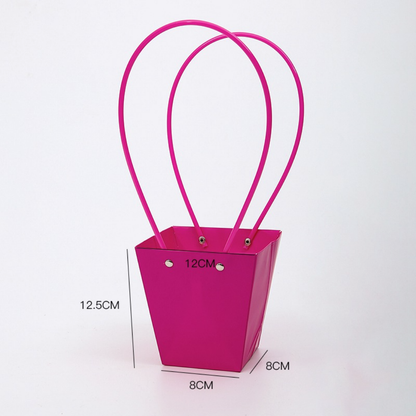 Bolsa Cesta Lisa x10
