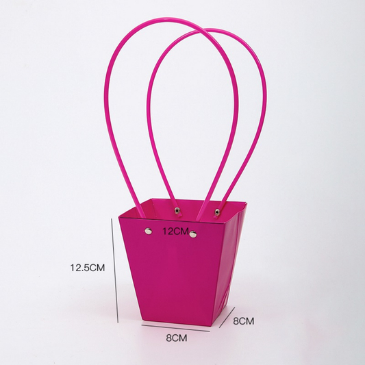 Bolsa Cesta Lisa x10