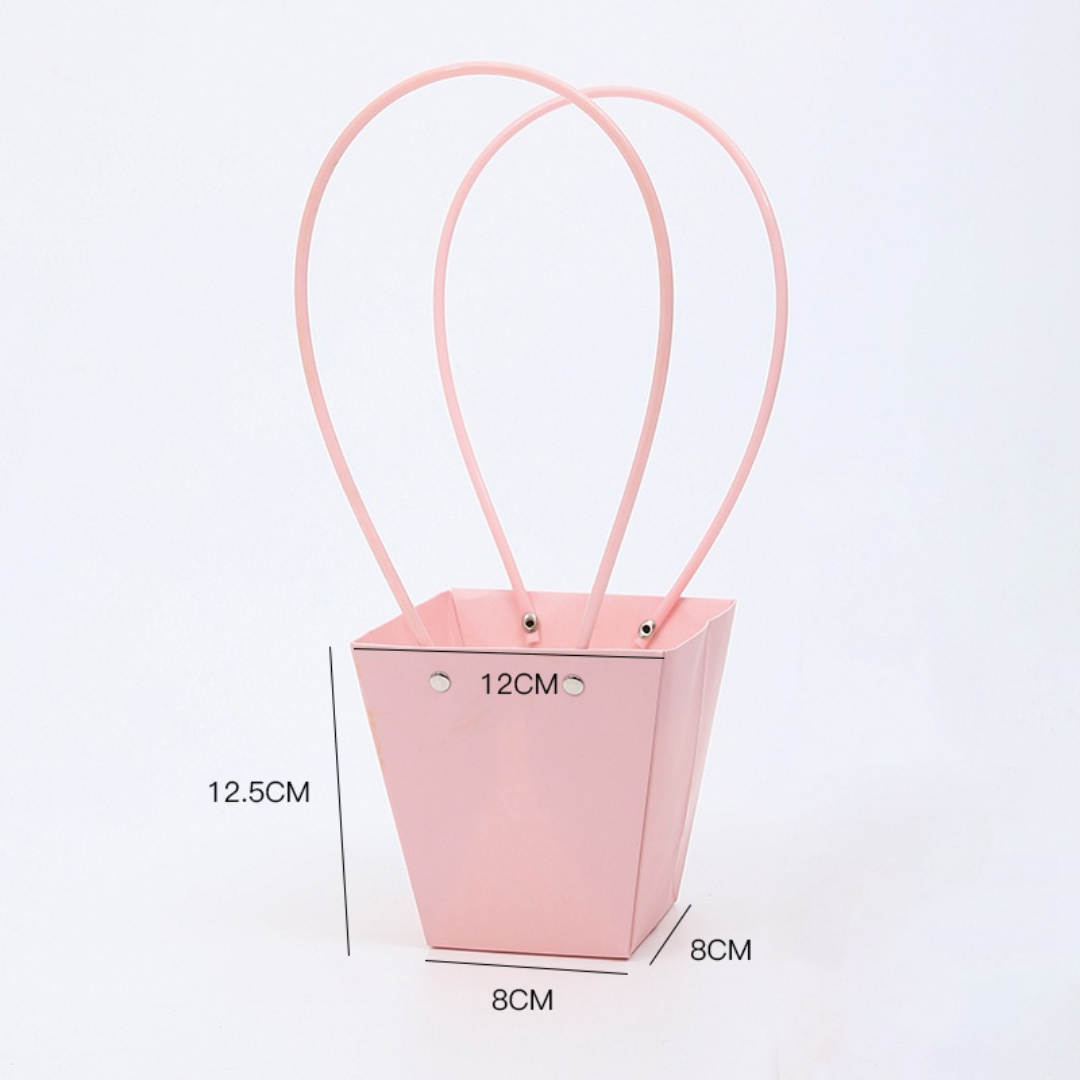 Bolsa Cesta Lisa x10