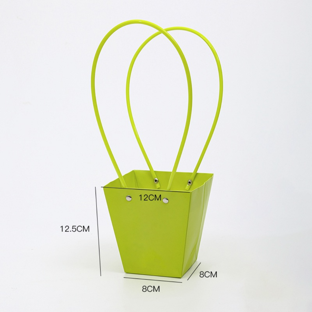 Bolsa Cesta Lisa x10