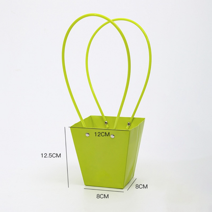Bolsa Cesta Lisa x10