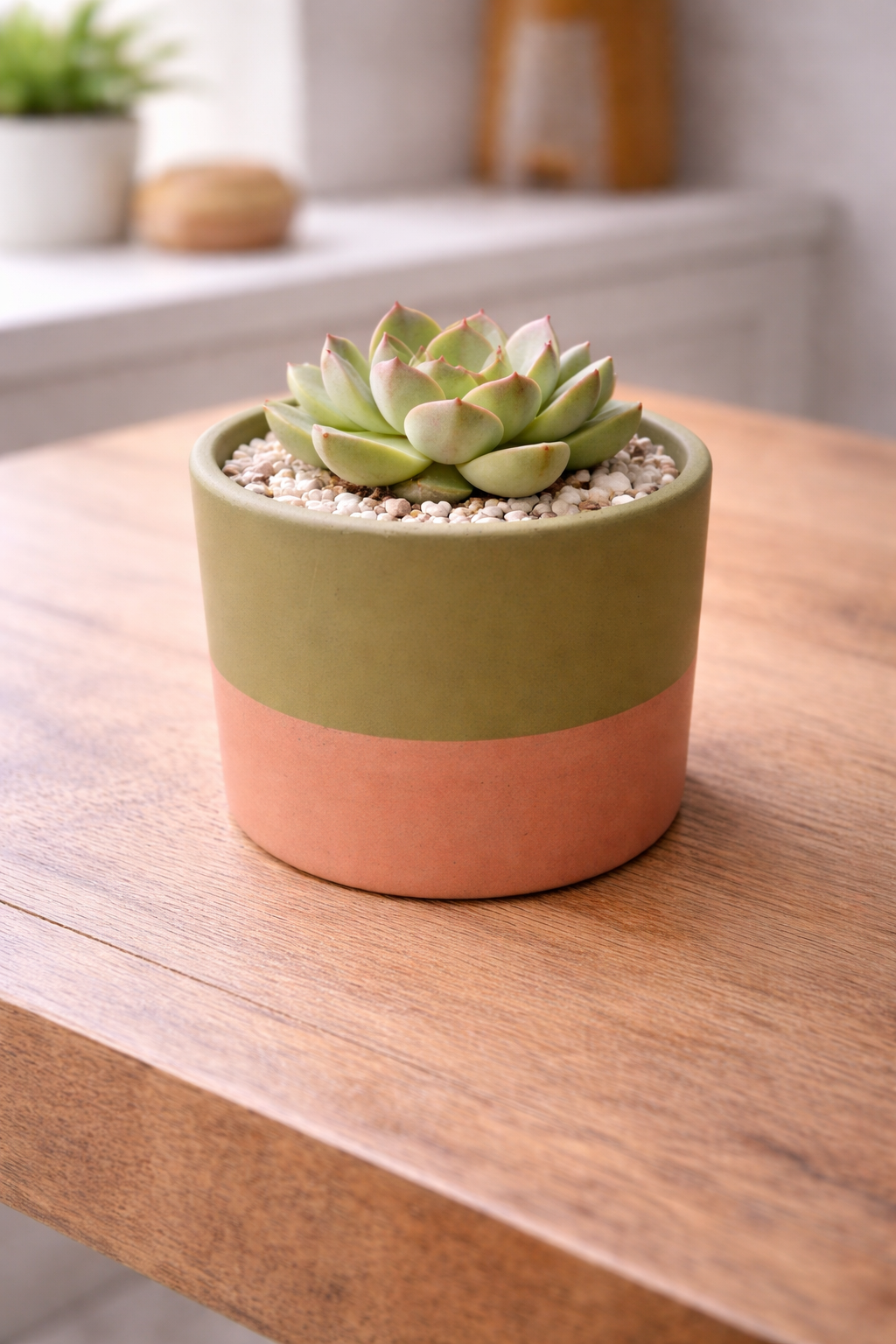 Maceta Nórdica Verde