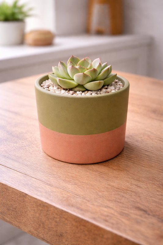 Maceta Nórdica Verde