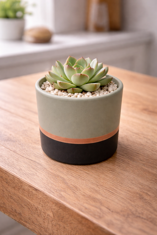 Maceta Nórdica Gris