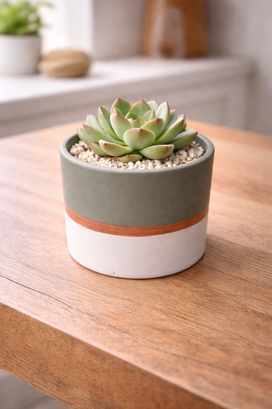 Maceta Nórdica Blanca