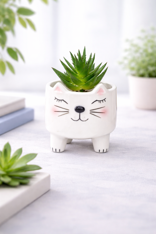 Mini Maceta Gatito